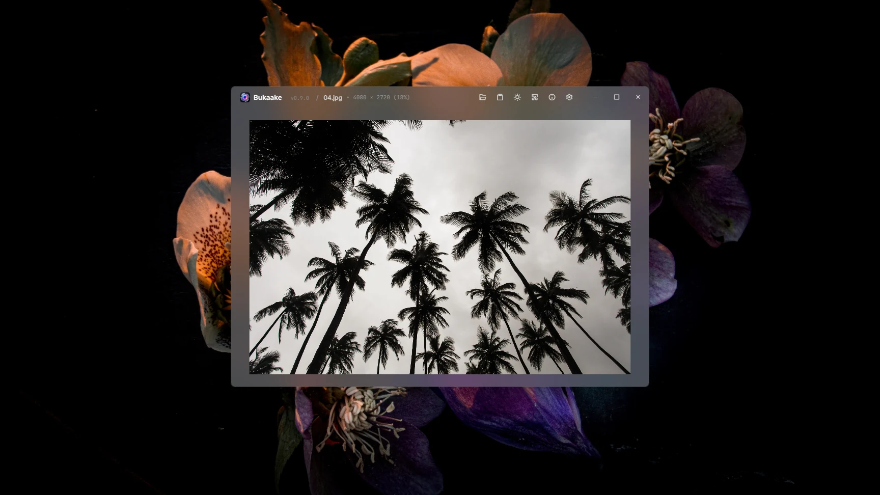 Bukaake Transparent Desktop Immersion Interface